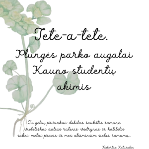 Tete-a-tete. Plungės parko augalai Kauno studentų akimis