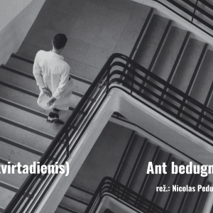 Ant-bedugnes-krasto „ANT BEDUGNĖS KRAŠTO” KINO PERŽIŪRA