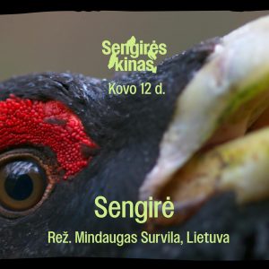 Facebook_Event SENGIRĖS KINAS PLUNGĖS VIEŠOJOJE BIBLIOTEKOJE: „SENGIRĖ”