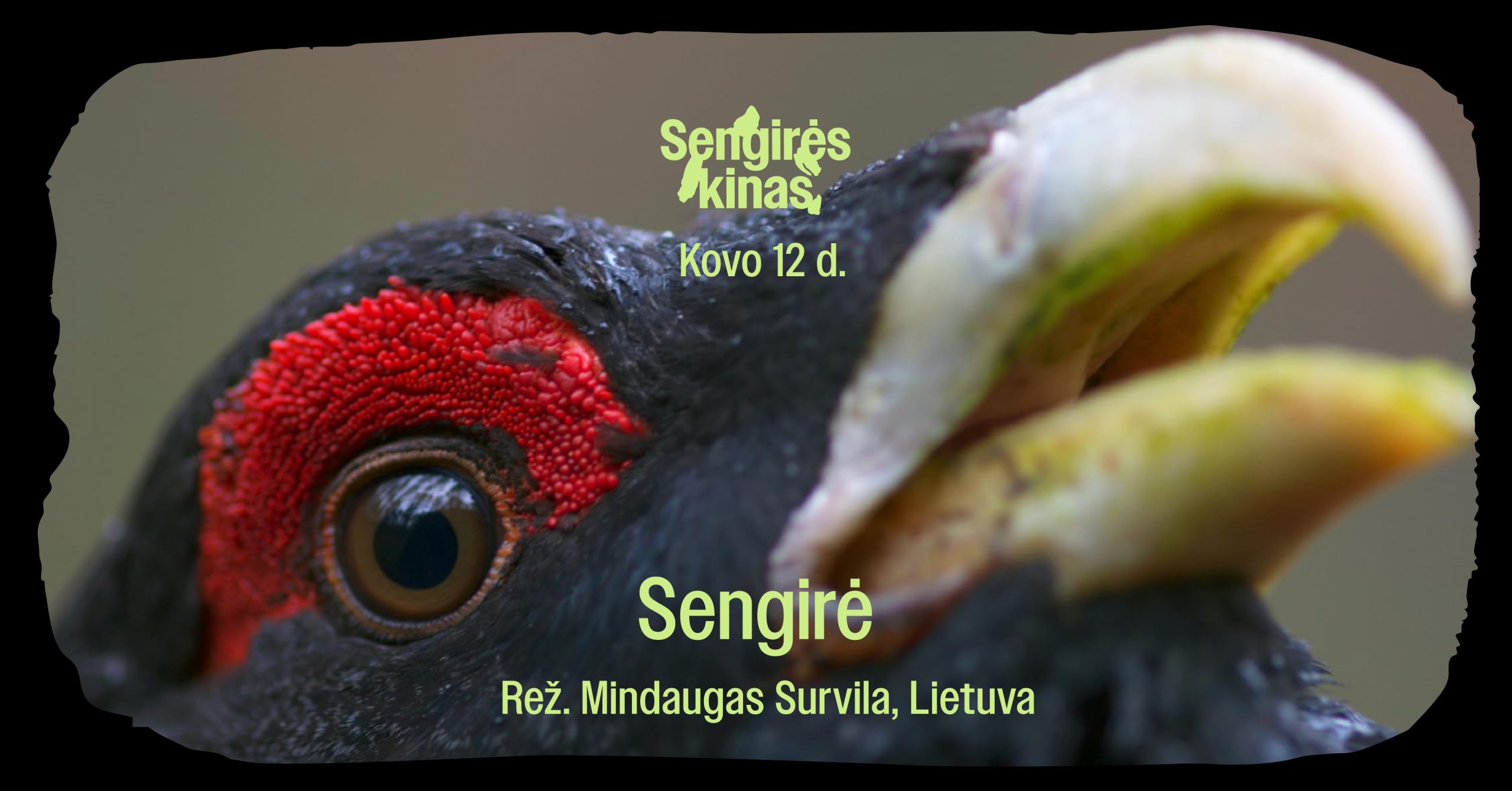 SENGIRĖS KINAS PLUNGĖS VIEŠOJOJE BIBLIOTEKOJE: „SENGIRĖ”