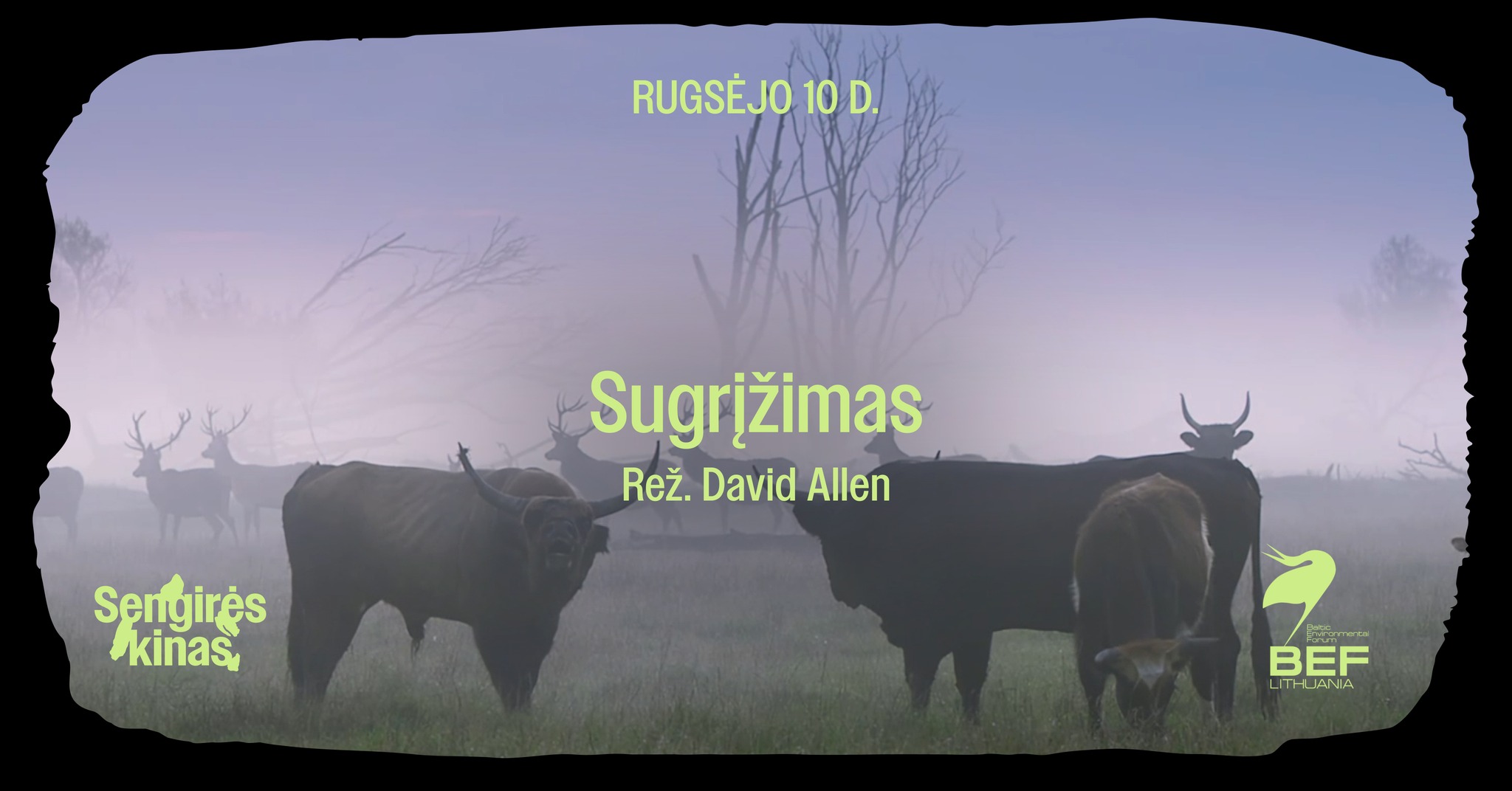 539192840_1216604617173772_2818595965669538322_n Sengirės kino dokumentinis filmas „Sugįžimas”