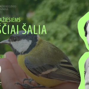 Cover Edukacija mažiesiems: Paukščiai šalia mūsų
